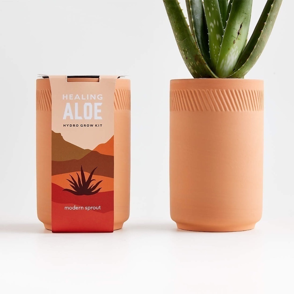 Modern Sprout Terracotta Grow Kit Healing Aloe Summer Fun In The Sun Swim Care